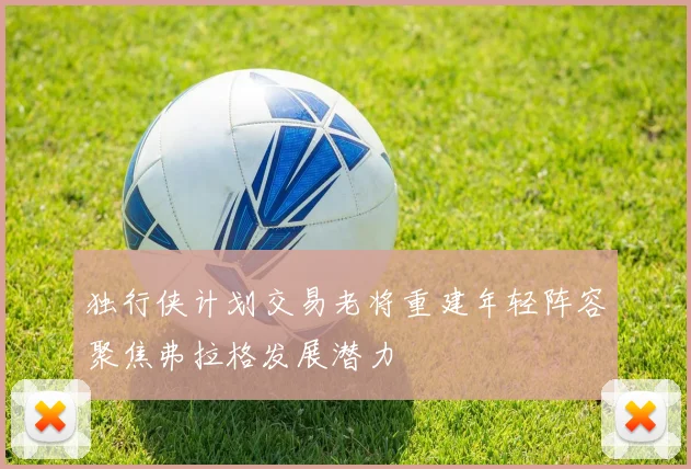 独行侠计划交易老将重建年轻阵容聚焦弗拉格发展潜力