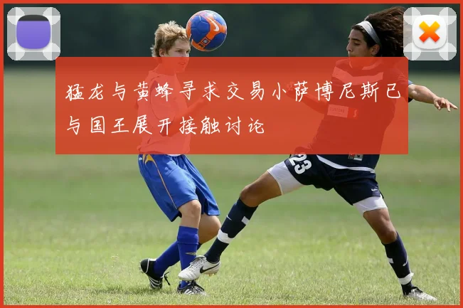 猛龙与黄蜂寻求交易小萨博尼斯已与国王展开接触讨论