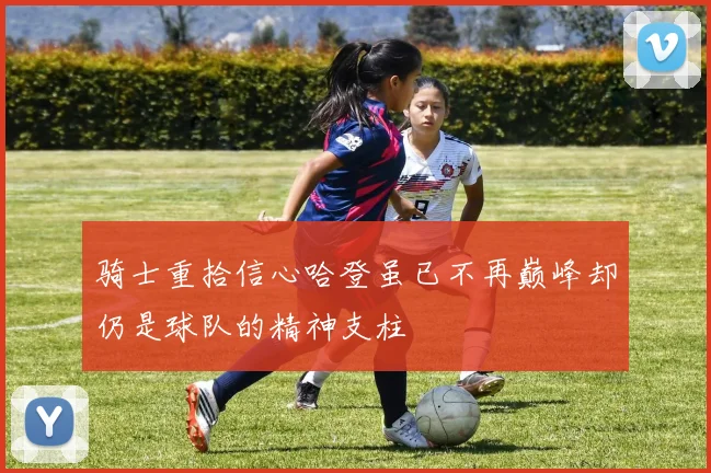 骑士重拾信心哈登虽已不再巅峰却仍是球队的精神支柱